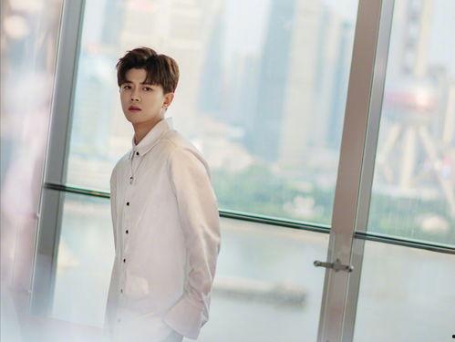 任嘉伦侄女爆料视频,揭秘明星家族背后的故事  第2张