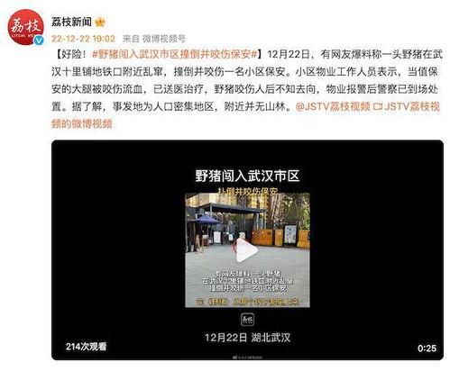 爆料武汉视频,揭秘城市真实面貌  第1张